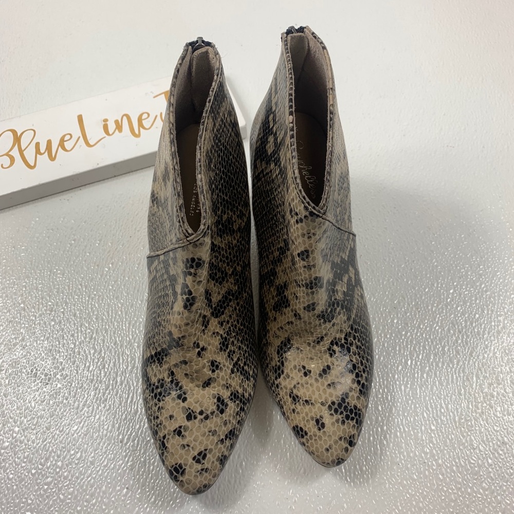 Seychelles Lasting Impression Python Booties Nwot - image 3